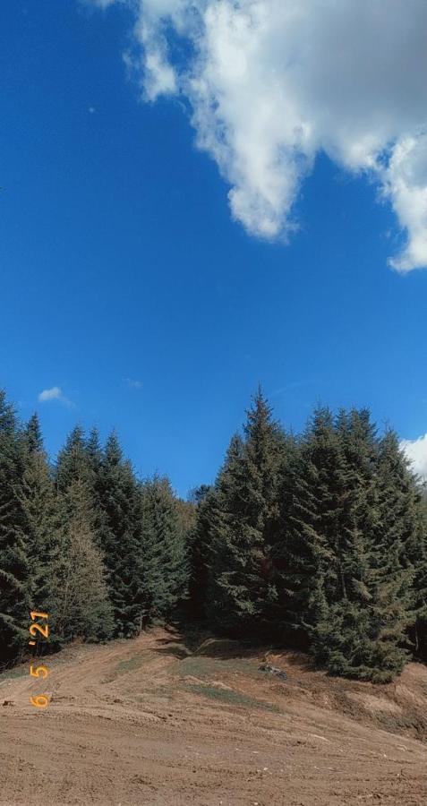 Садиба У Пані Марії Vorokhta Extérieur photo